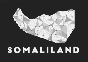 Somaliland’s Digital Leap: How a Nation Without Recognition Built One of Africa’s Best Telecom Networks